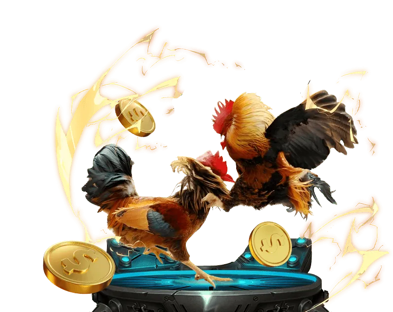 Hình ảnh mô tả nguồn gốc đá gà Việt Nam